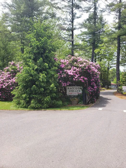 Raccoon Holler Campground Picture 2