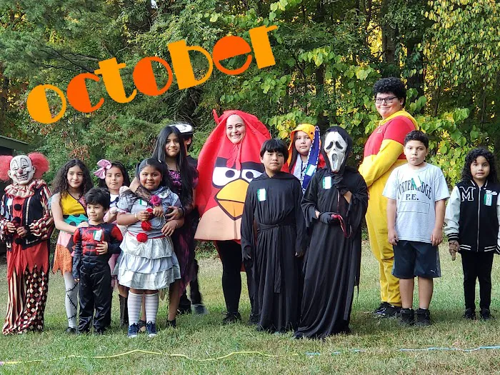 Woodward Village Picture 2