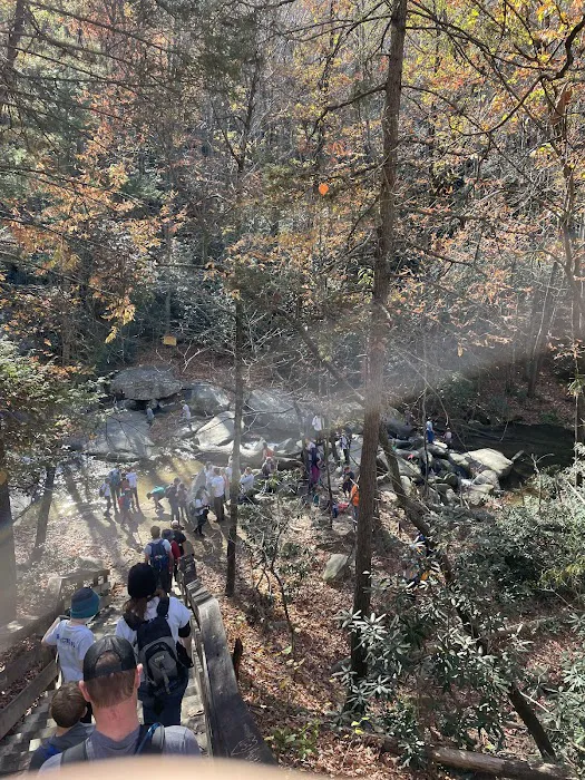 Stone Mountain State Park Group site Picture 9