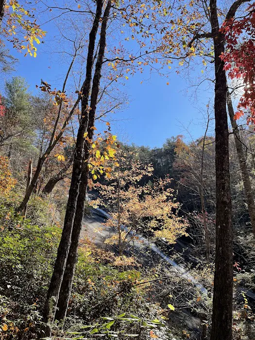 Stone Mountain State Park Group site Picture 3