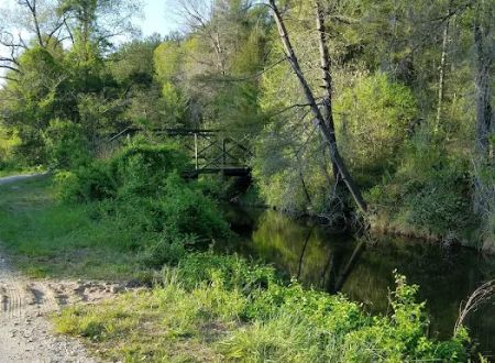 Cedar Rock Campground