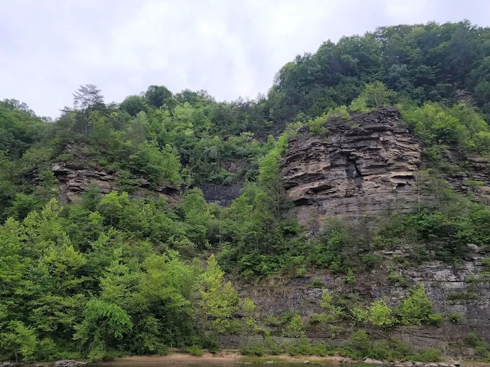 Guyandotte Campground Picture 1