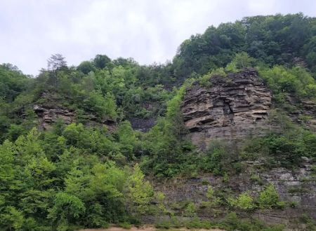 Guyandotte Campground