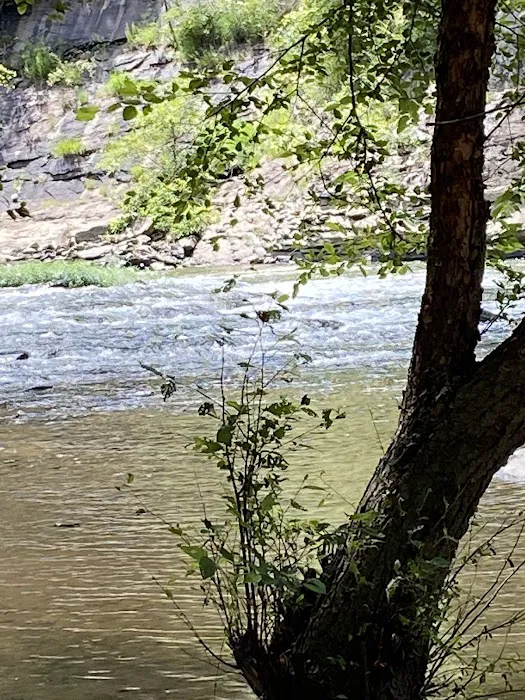 Guyandotte Campground Picture 3