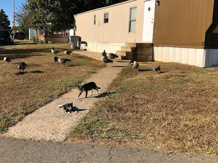 Queen's Grant Mobile Home Park Picture 10