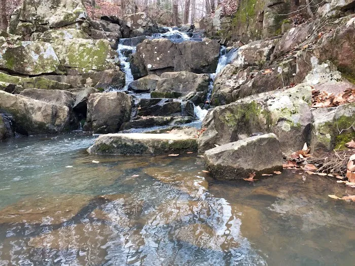 Spruce Pine Campground Picture 2