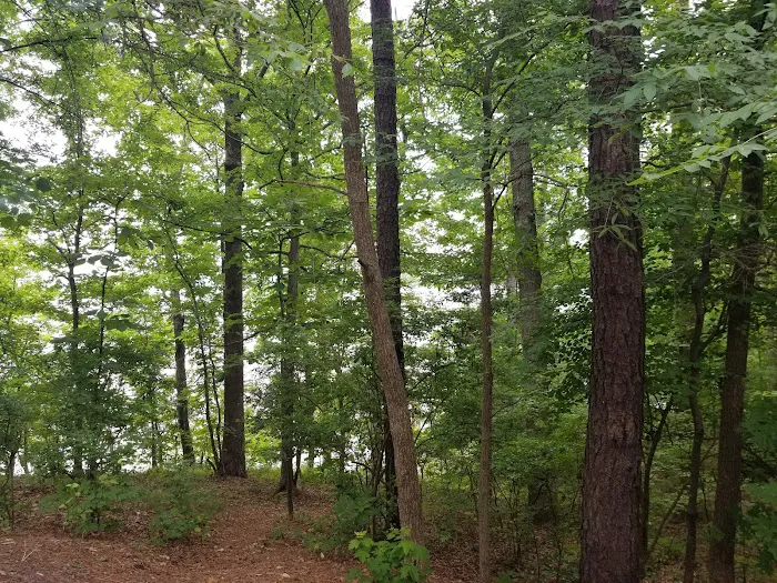 Rolling View Campground Loop A Picture 10