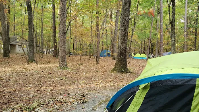 William B. Umstead Family Campground Picture 2