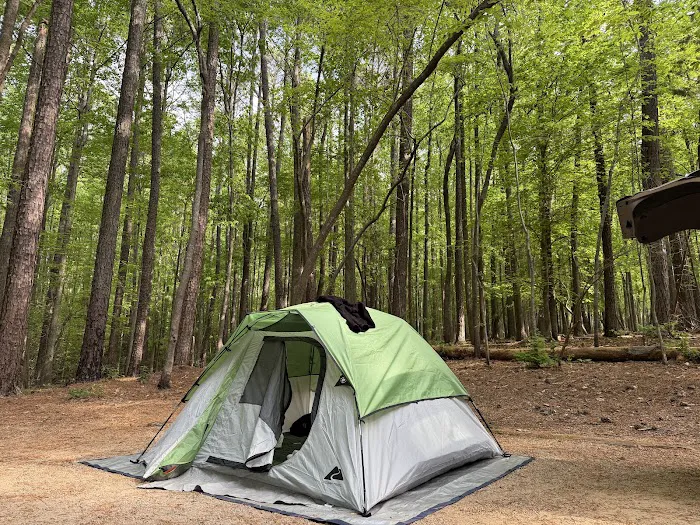 Holly Point Campground State Recreation Area Picture 6