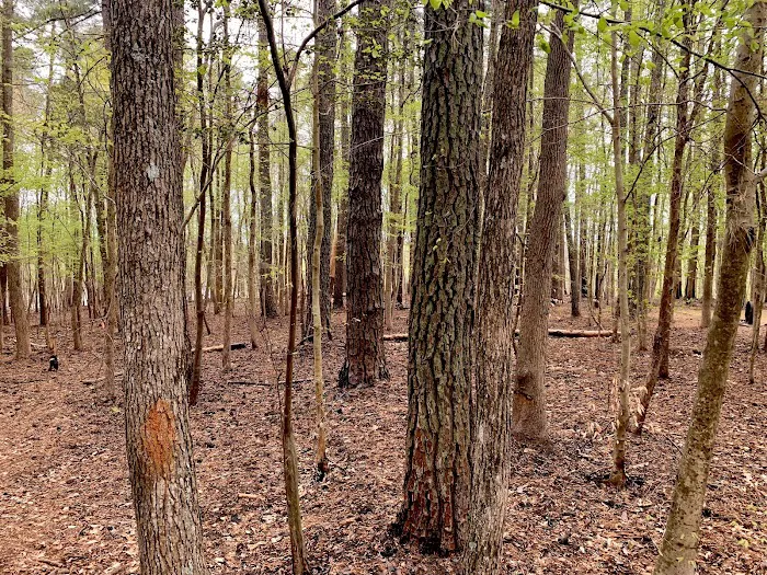Holly Point Campground State Recreation Area Picture 10
