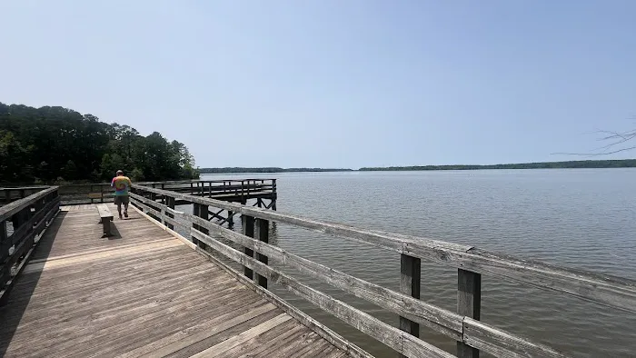 Holly Point Campground State Recreation Area Picture 3
