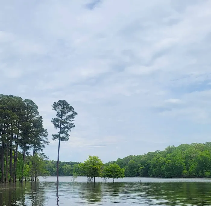 Holly Point Campground State Recreation Area Picture 9
