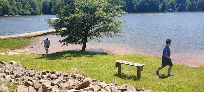 Holly Point Loop 4 Campgrounds Picture 1