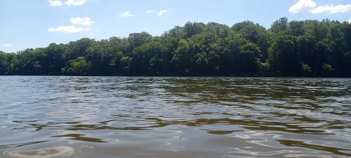 Holly Point Loop 4 Campgrounds Picture 2