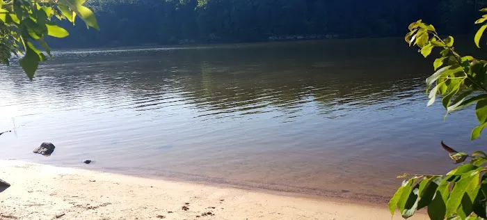 Holly Point Loop 4 Campgrounds Picture 3