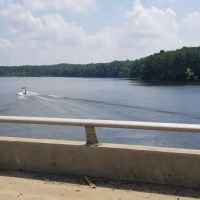 Holly Point Loop 1 Campgrounds ico