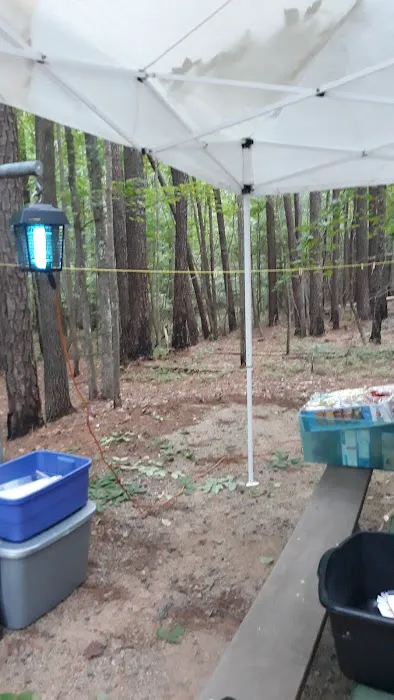 Holly Point Loop 1 Campgrounds Picture 6