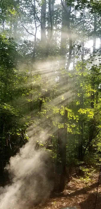Holly Point Loop 1 Campgrounds Picture 3