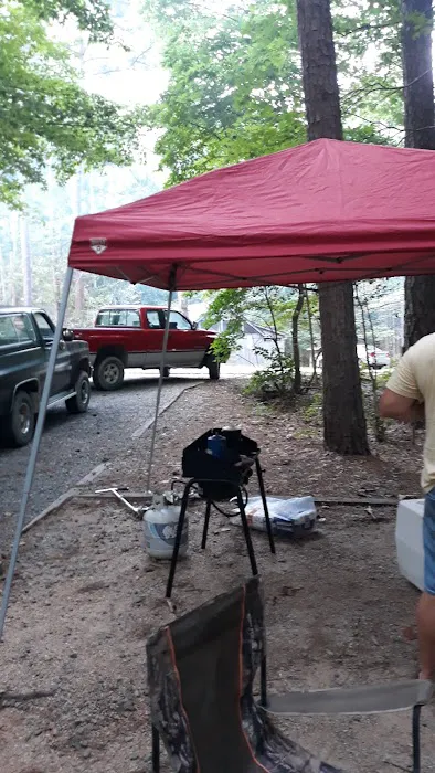 Holly Point Loop 1 Campgrounds Picture 9