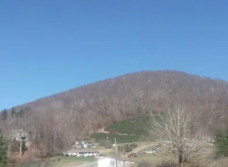 Oakland Hills