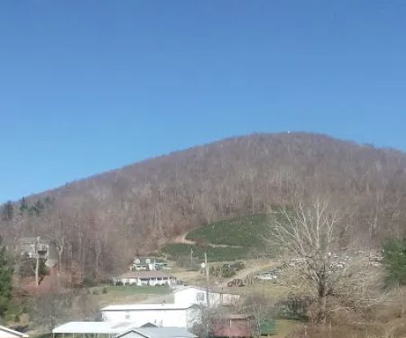 Oakland Hills