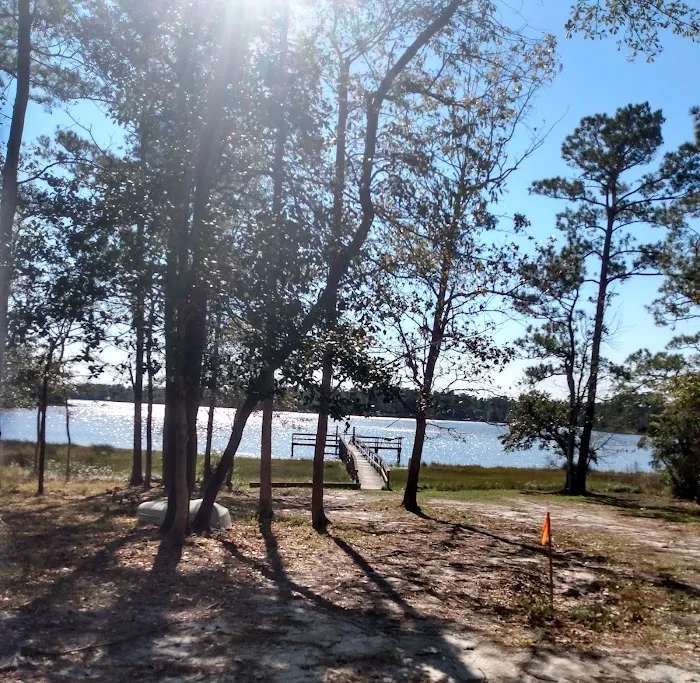 Virginia Creek Campground Picture 5