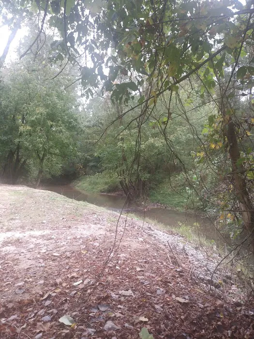 Orion Oaks Picture 10