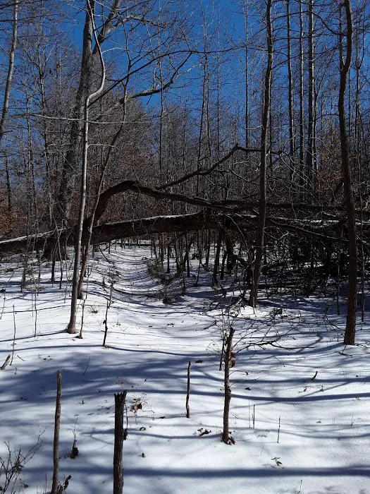Cottage Cove Picture 4