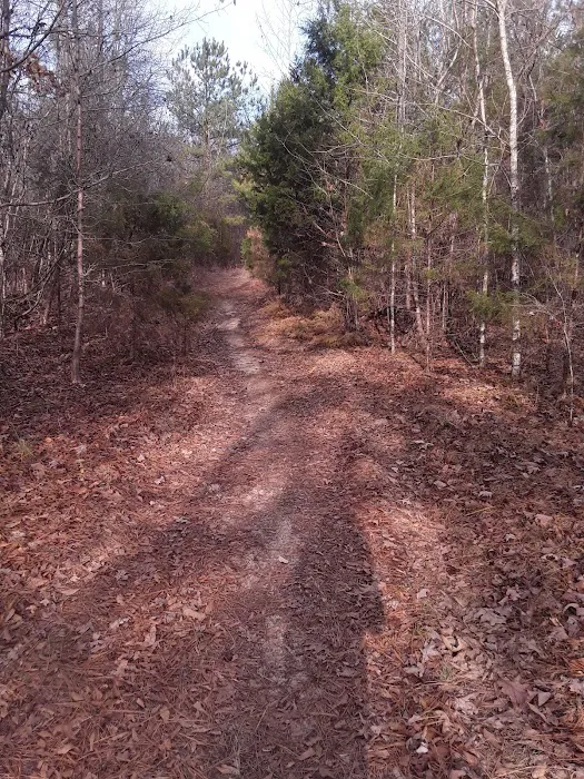 Cottage Cove Picture 5