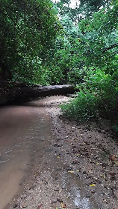 Cottage Cove Picture 8