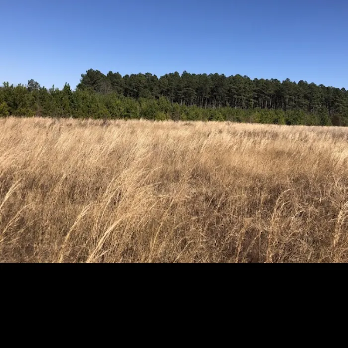 Jefferson SC Mobile home Estates Picture 4