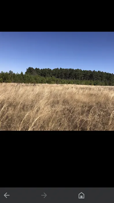 Jefferson SC Mobile home Estates Picture 7