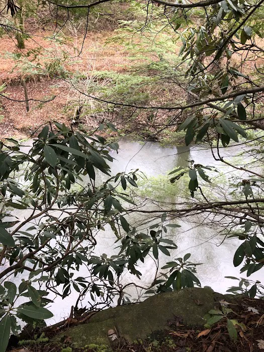 Grayson Lake Damsite Shelters Picture 4