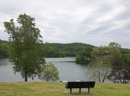 Grayson Lake Damsite Shelters
