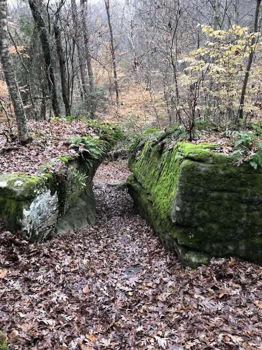 Grayson Lake Damsite Shelters Picture 6