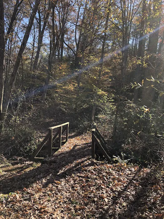 Grayson Lake Damsite Shelters Picture 7