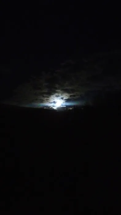 Lee's RV Park Picture 1