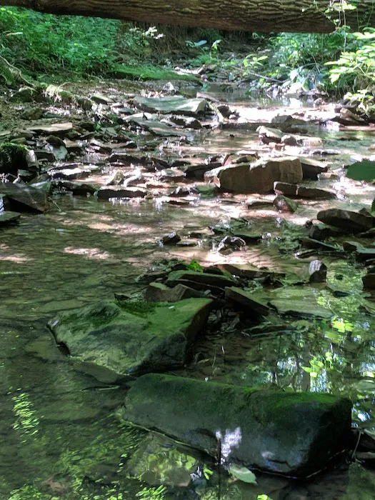 Shawnee Backpacking Camp 1 Picture 7