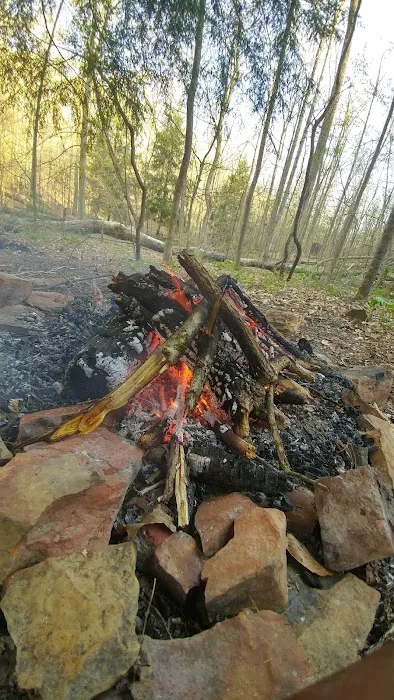 Shawnee Backpacking Camp 1 Picture 9