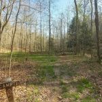 Shawnee Backpacking Camp 1