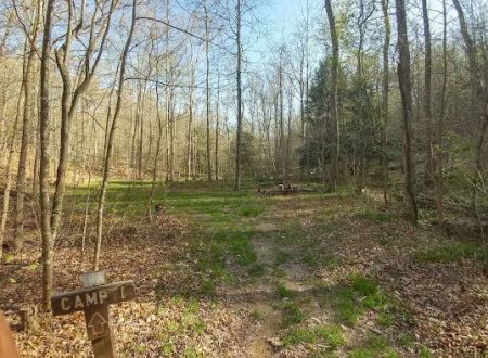 Shawnee Backpacking Camp 1