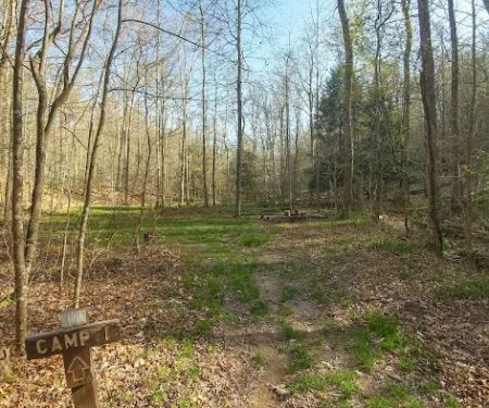 Shawnee Backpacking Camp 1