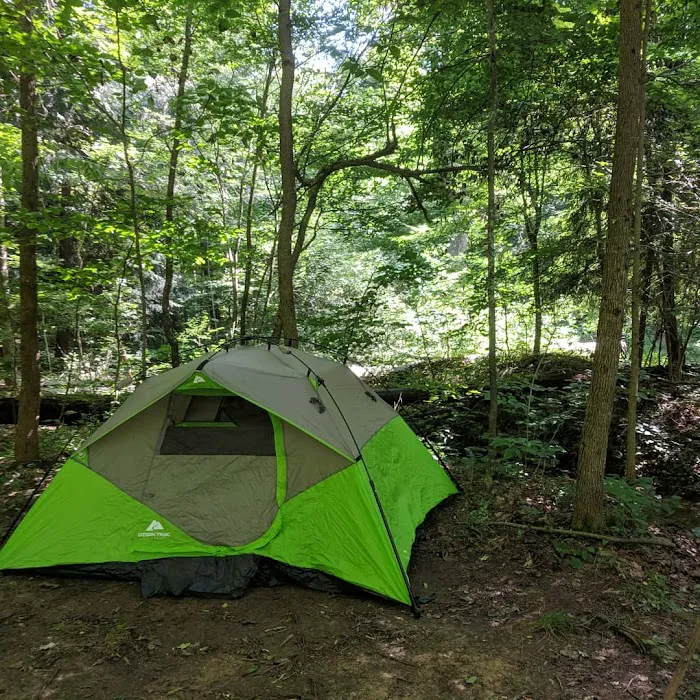 Shawnee Backpacking Camp 1 Picture 10