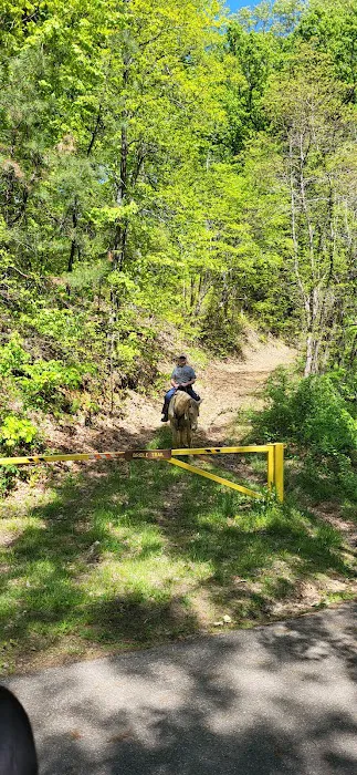 Shawnee State Forest Horse Campground Picture 3