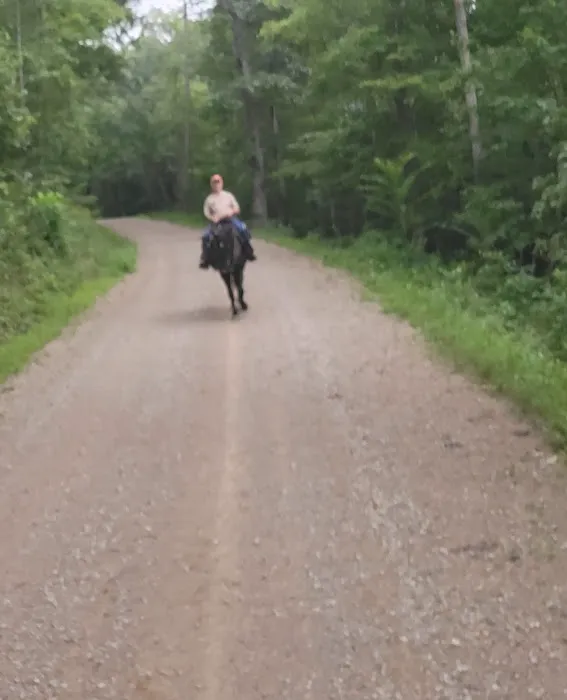 Shawnee State Forest Horse Campground Picture 2