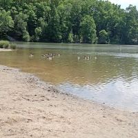 Shawnee State Park Campground ico