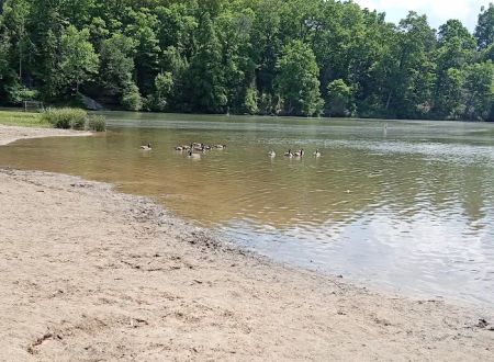 Shawnee State Park Campground