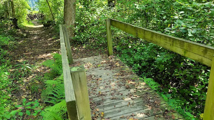Shawnee State Park Campground Picture 6