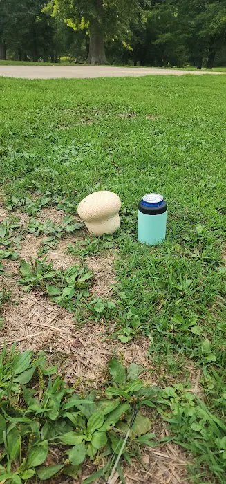 Shawnee State Park Campground Picture 7