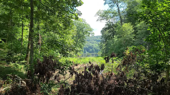 Shawnee State Park Campground Picture 5
